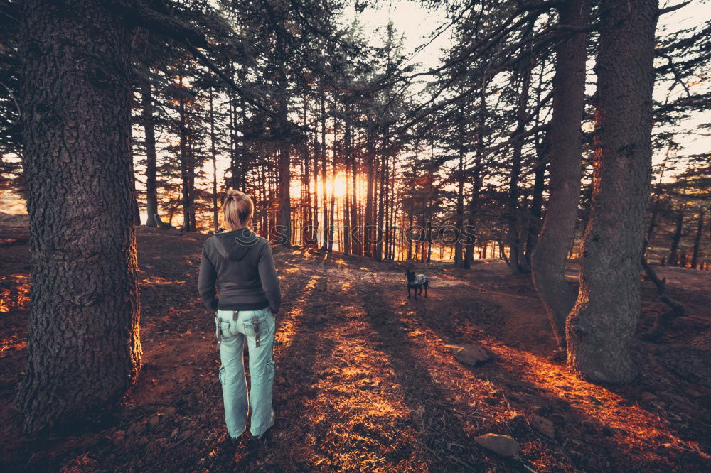 Similar – Image, Stock Photo Woman strolling on empty winter road