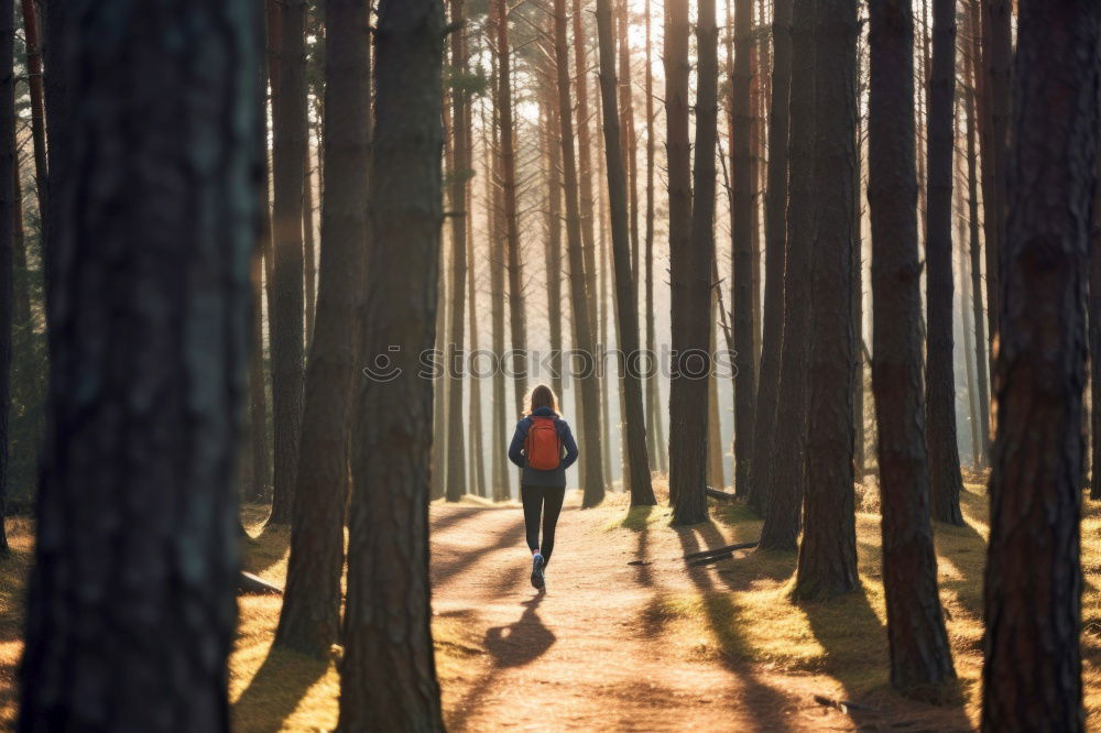 Similar – Image, Stock Photo A young woman from behind walking in an autumn forest.