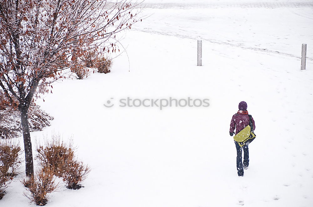 Similar – waiting in the snow Wait