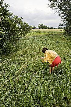 Similar – Image, Stock Photo a bed in the cornfield