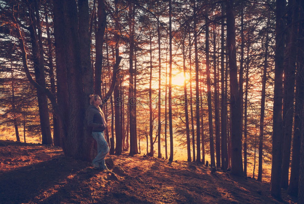 Similar – Image, Stock Photo Bearded man having a break in the forest