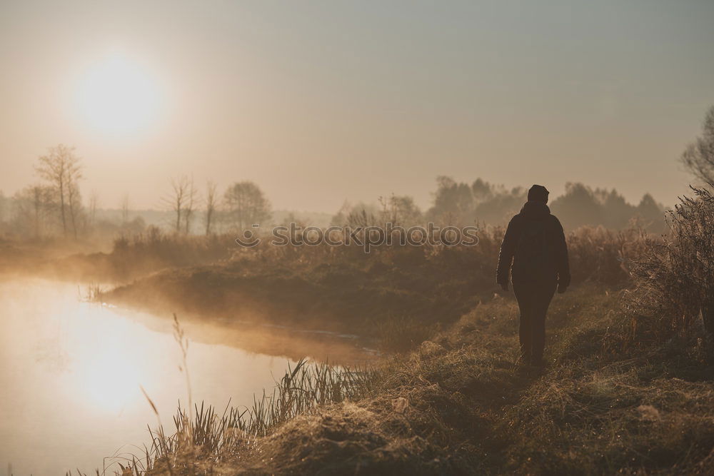 Similar – Image, Stock Photo Person walking on road in woods