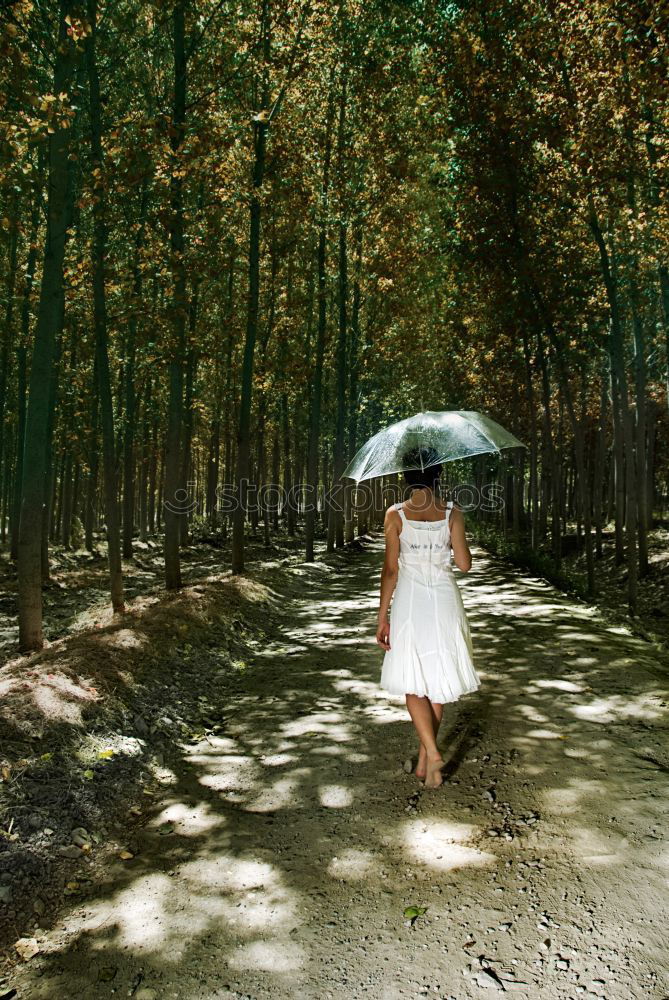 Similar – Image, Stock Photo Country life dream