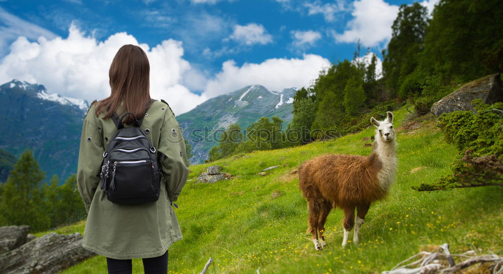 Similar – Image, Stock Photo Stroking a cow in the Allgäu