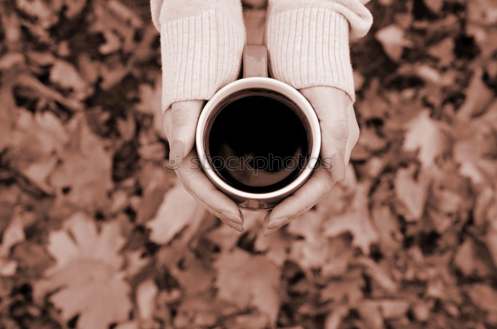 Similar – Image, Stock Photo Girl keeps small plant