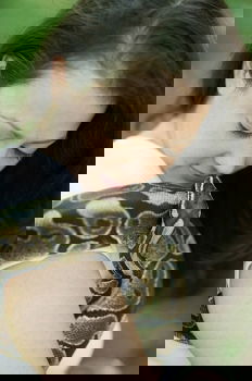 Similar – Foto Bild Kind mit zwei Schildkröten
