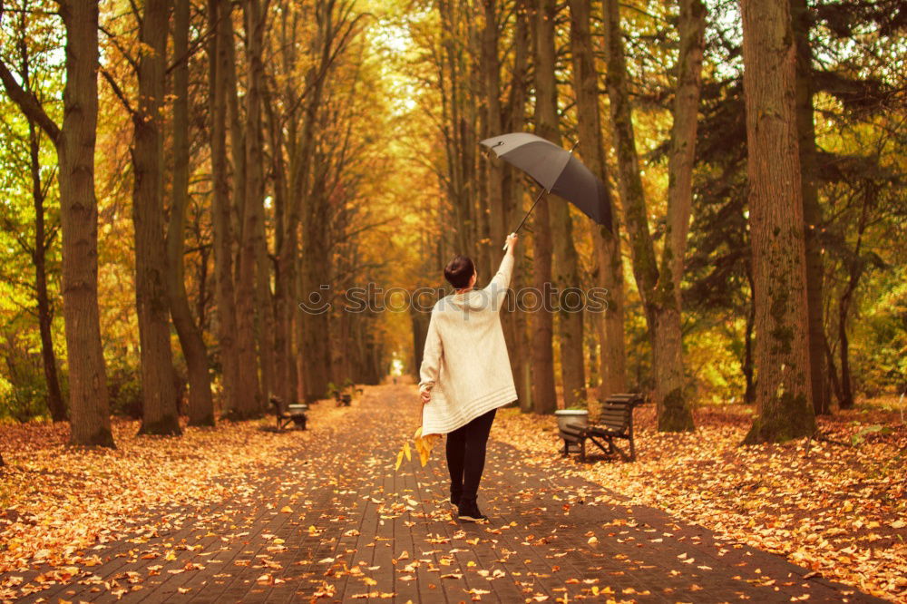 Similar – Aerial view of man holding rainbow umbrella in the forest