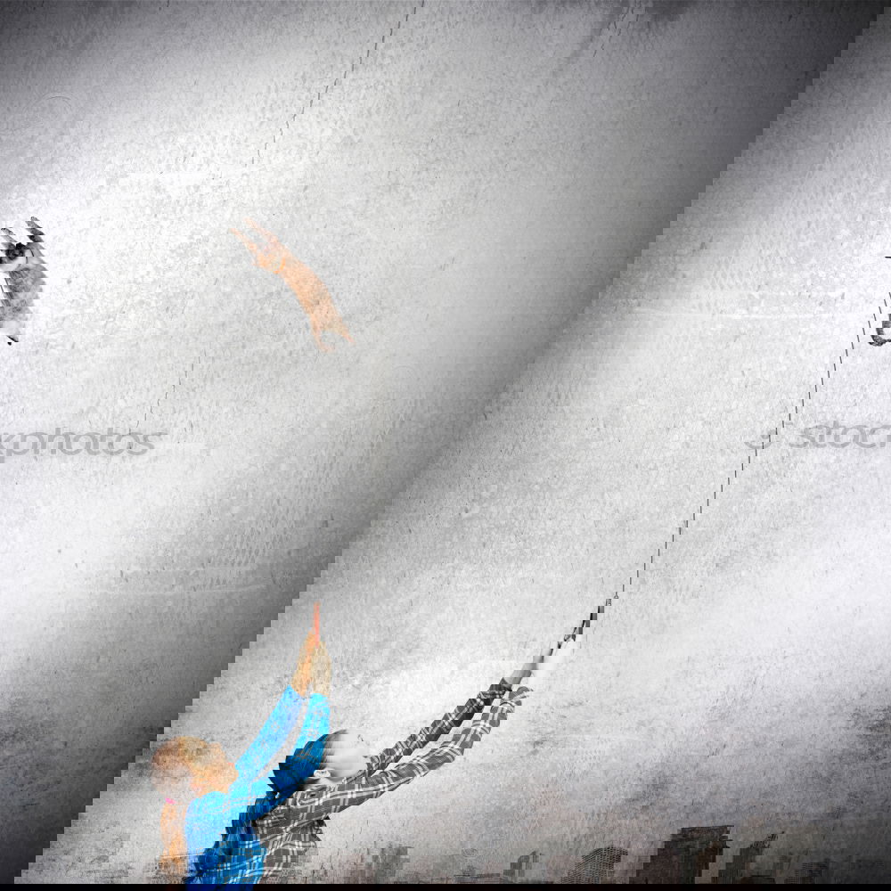 Similar – Foto Bild Skateboard Freiheit Abend