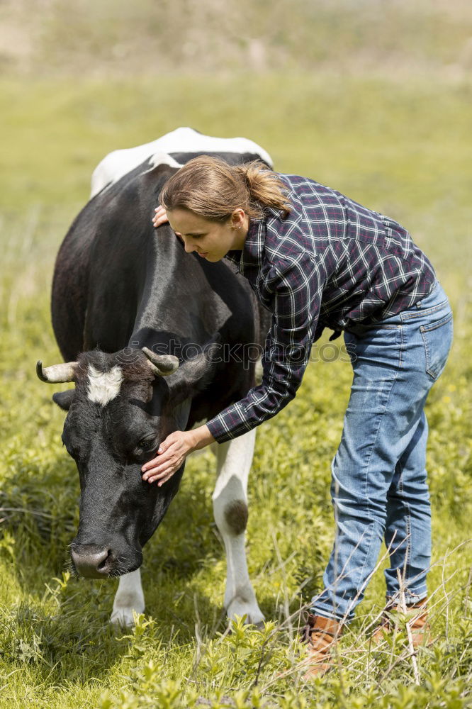 Image, Stock Photo a man in a check shirt is walking with his well-bred white horse on a meadow path with lots of flowering grass all around. In the background lush green trees