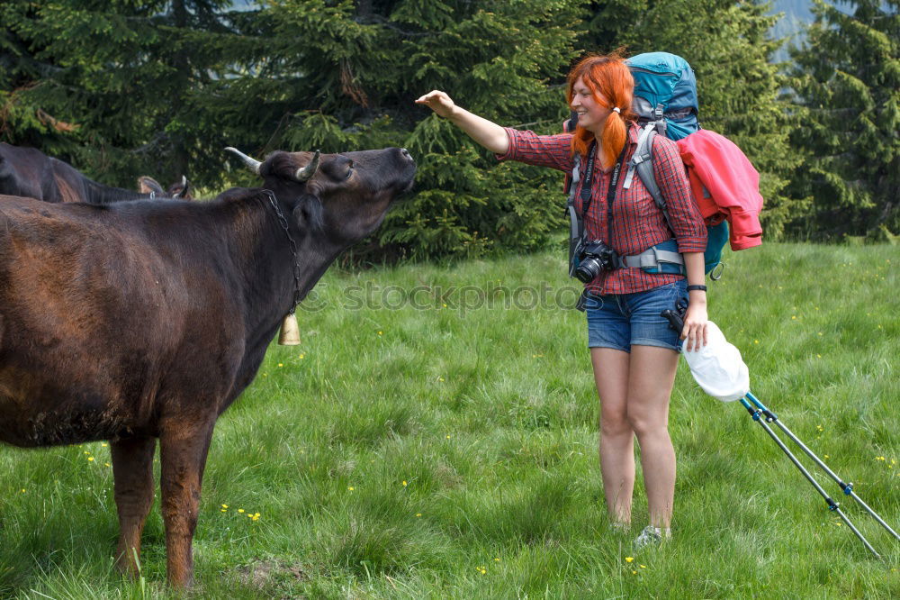 Image, Stock Photo Stroking a cow in the Allgäu