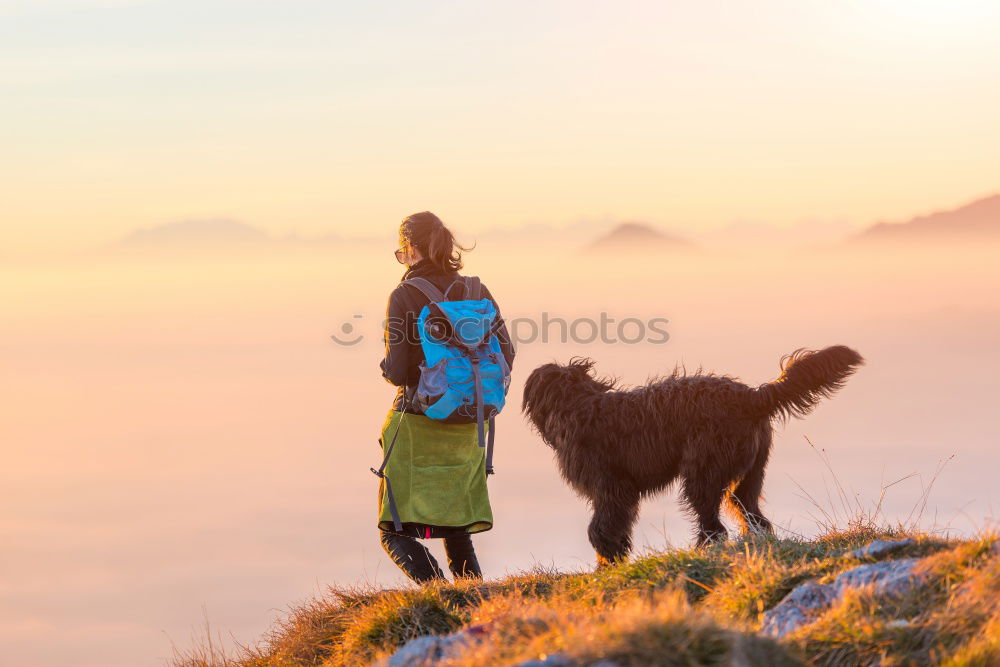 Similar – Image, Stock Photo “Yes mei, the Alminger is smart!”