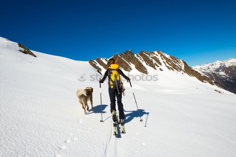 Similar – Image, Stock Photo Mountaineer climbs a snowy peak. Chamonix, France, Europe.