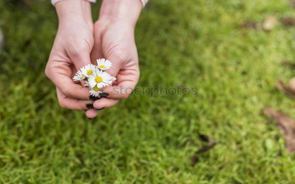 Similar – Image, Stock Photo snip Gardening Botanist