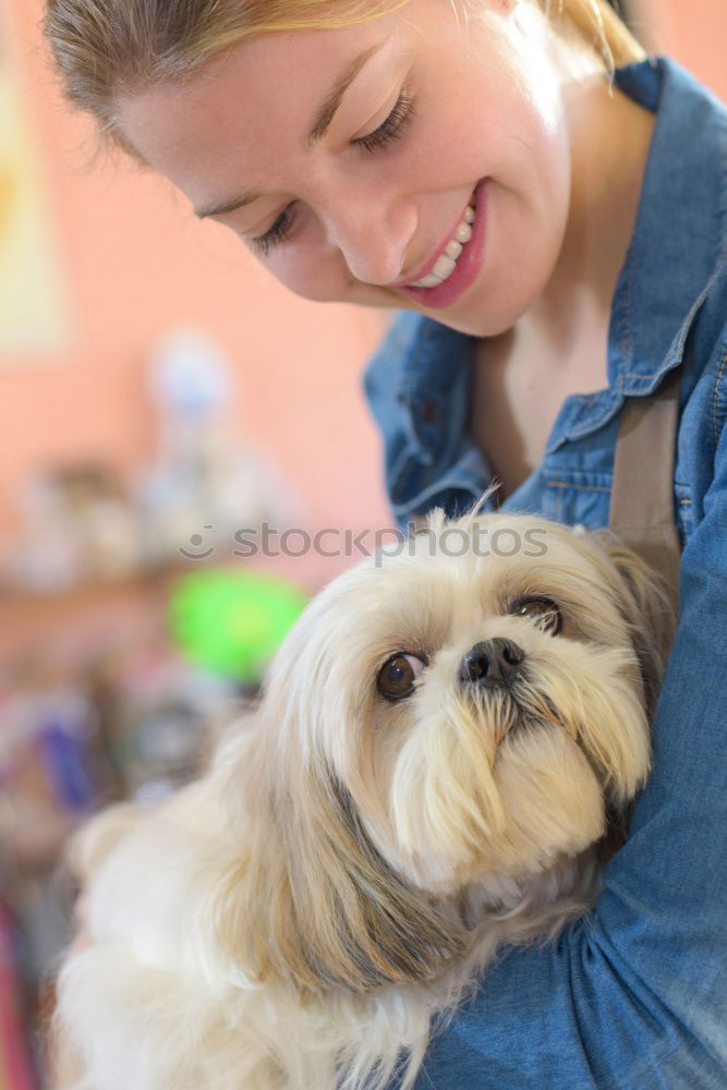 Similar – Image, Stock Photo Boston Terrier and boy