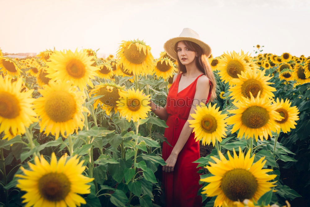 Image, Stock Photo Happy young black woman walking in a sunflower field