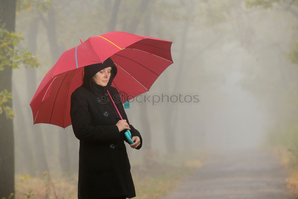 Similar – Image, Stock Photo Pedestrian in autumn