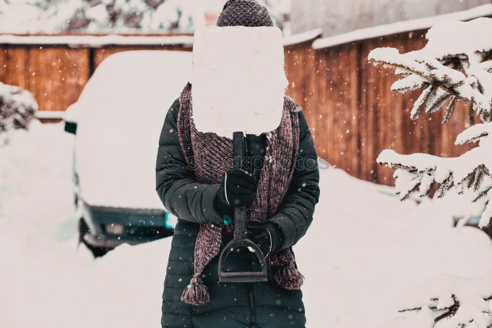 Similar – Image, Stock Photo snowed in Winter Snow Coat