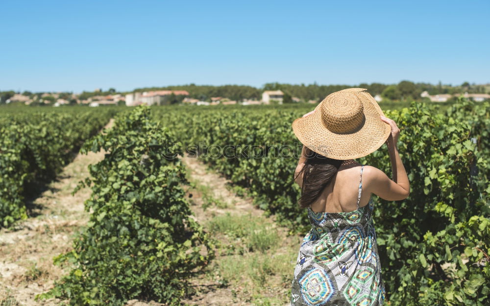 Similar – Young black woman eating a grape in a vineyard