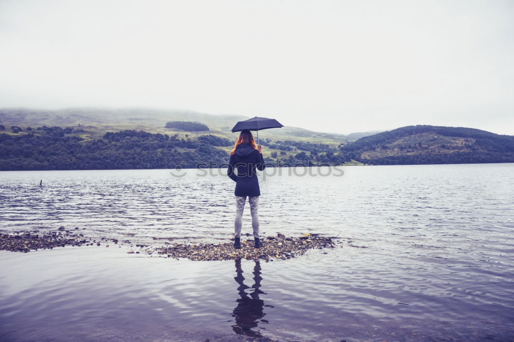 Similar – Image, Stock Photo Spain / near Madrid Forest