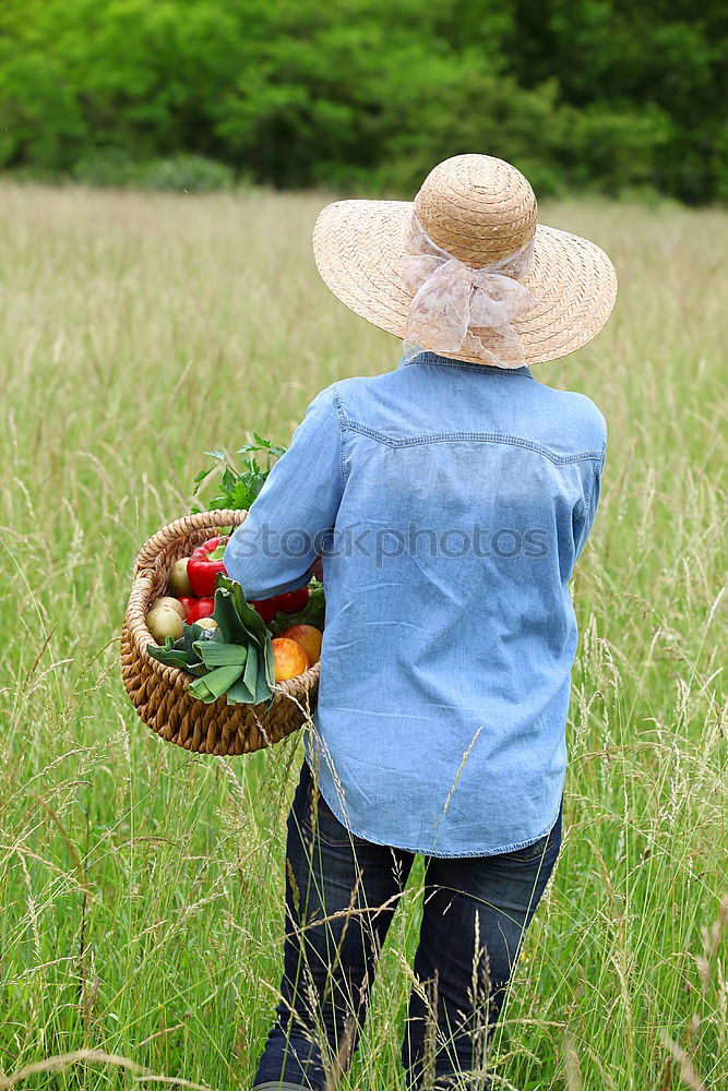 Similar – Image, Stock Photo basket Basket Maize field