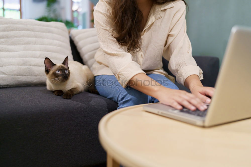 Similar – Image, Stock Photo Woman with mobile phone at home