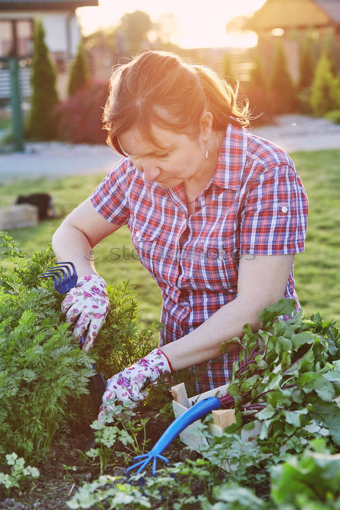 Similar – Image, Stock Photo Spring awakening on the balcony