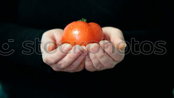 Similar – Image, Stock Photo Tomato child III Food