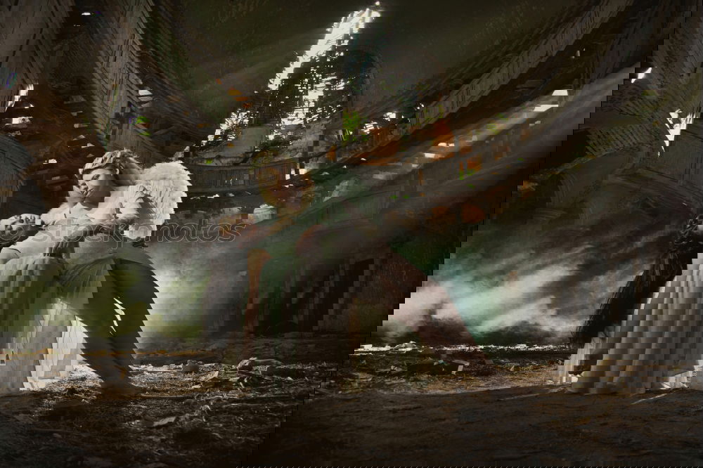 Similar – Image, Stock Photo Woman in dress dancing flamenco on scene