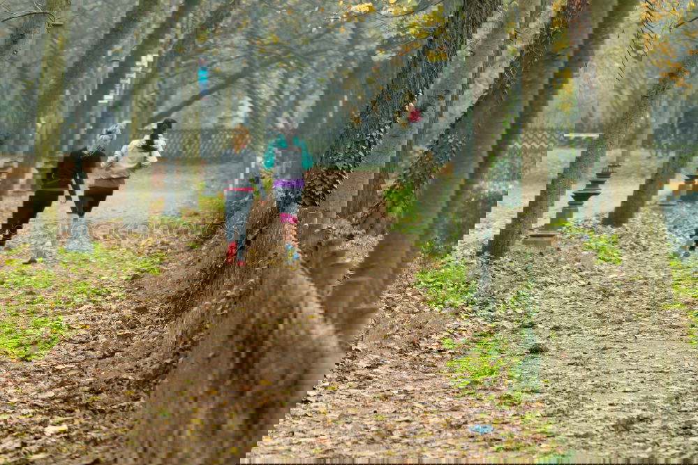 Similar – Image, Stock Photo #A# Through autumn Art