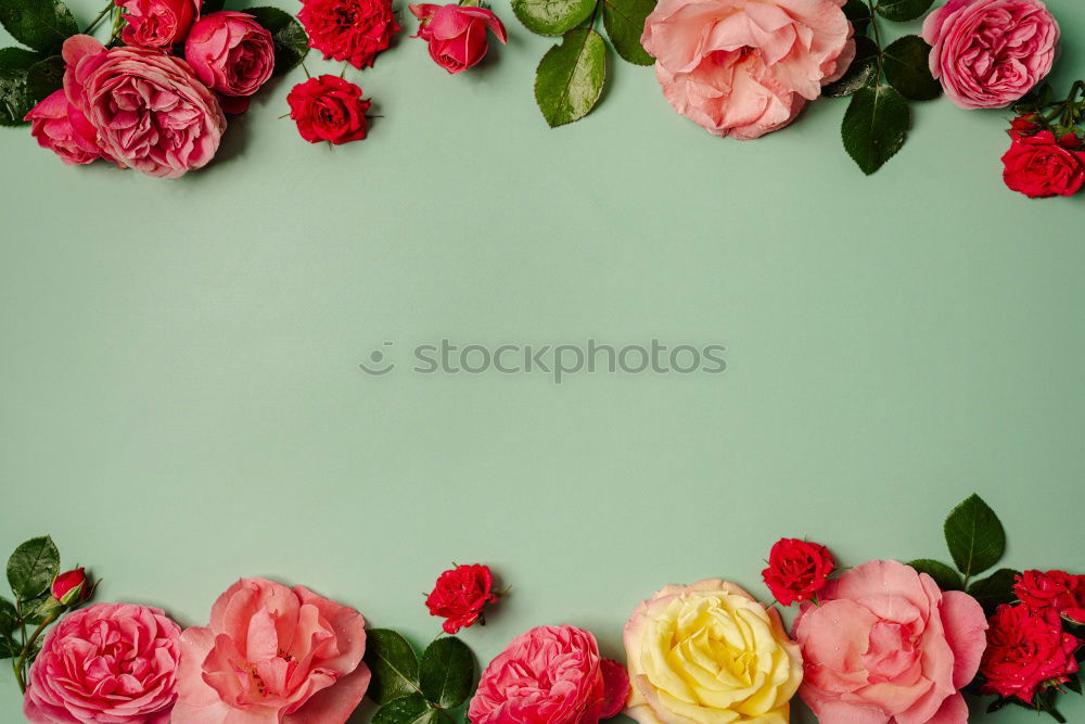 Similar – Image, Stock Photo Frame with colorful flowers