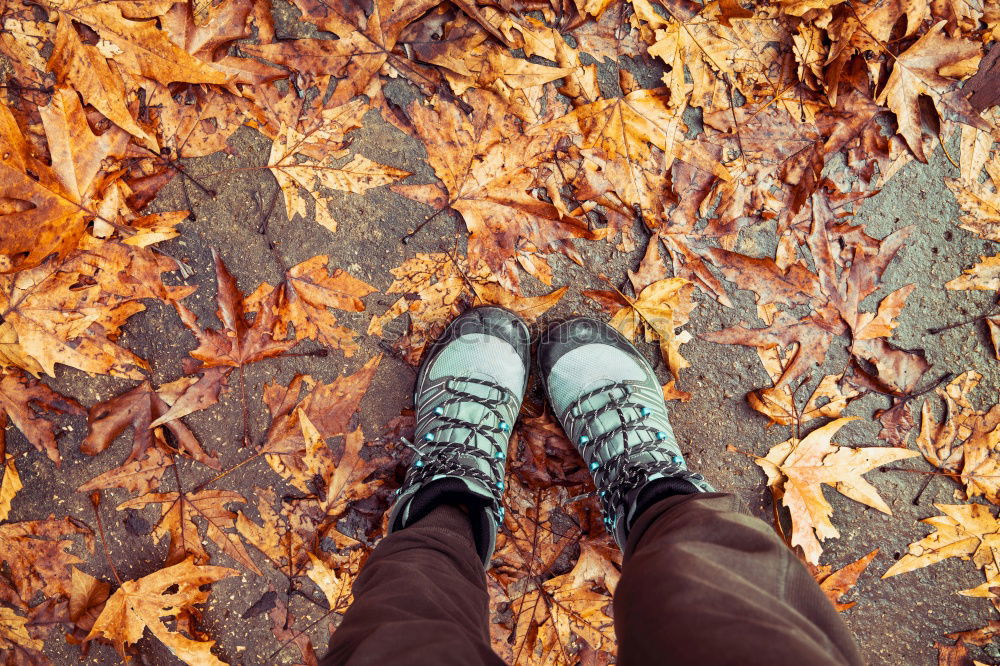 Similar – Foto Bild herbstwind Lieferwagen