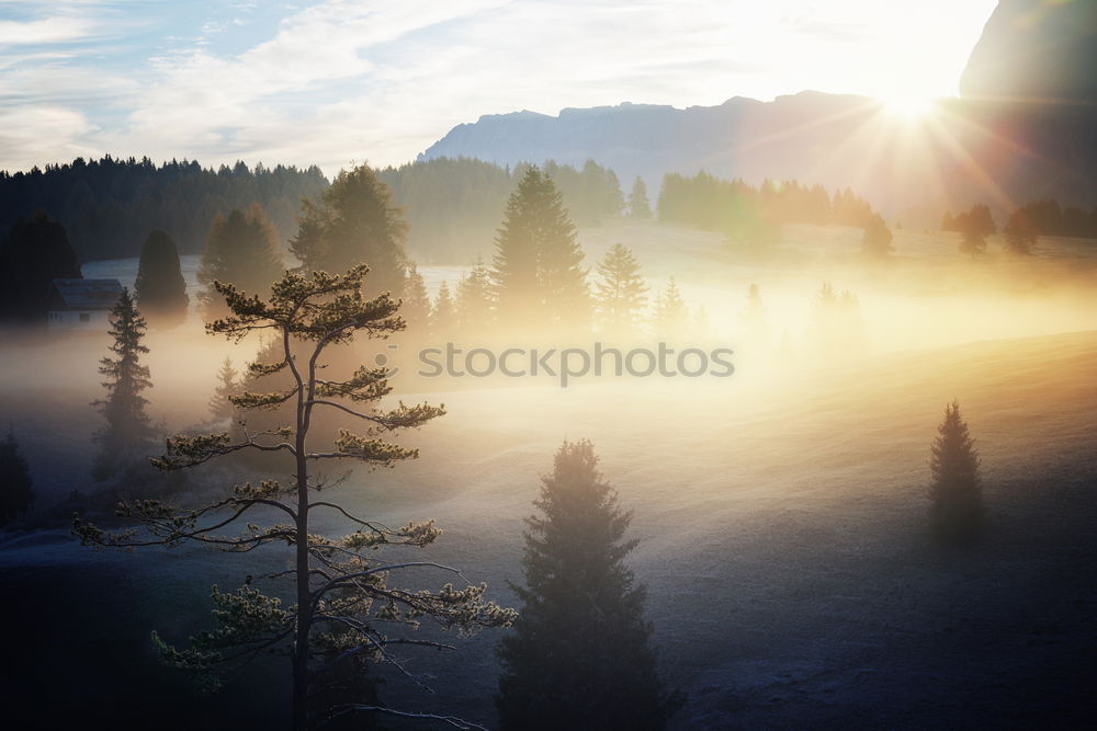 Similar – Image, Stock Photo winter hike in the northern Black Forest on a sunny day