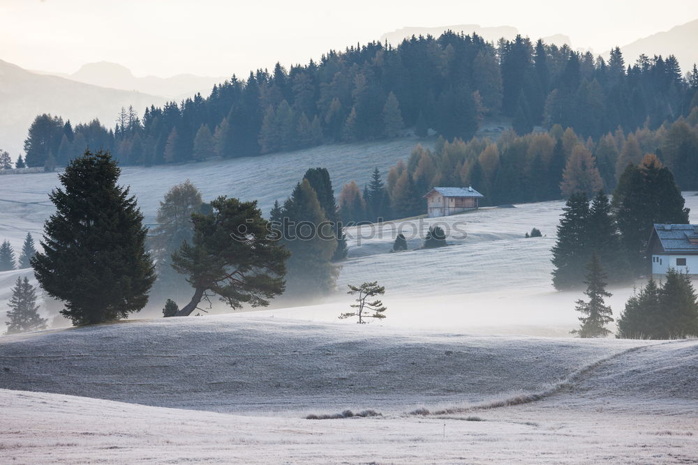 Similar – Foto Bild Ziellinien Natur