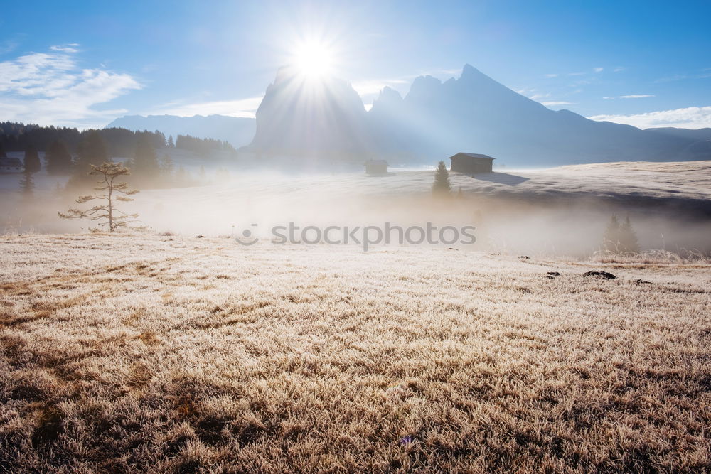 Similar – Image, Stock Photo ray of hope