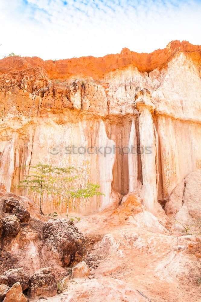 Similar – Image, Stock Photo o africa and river Summer