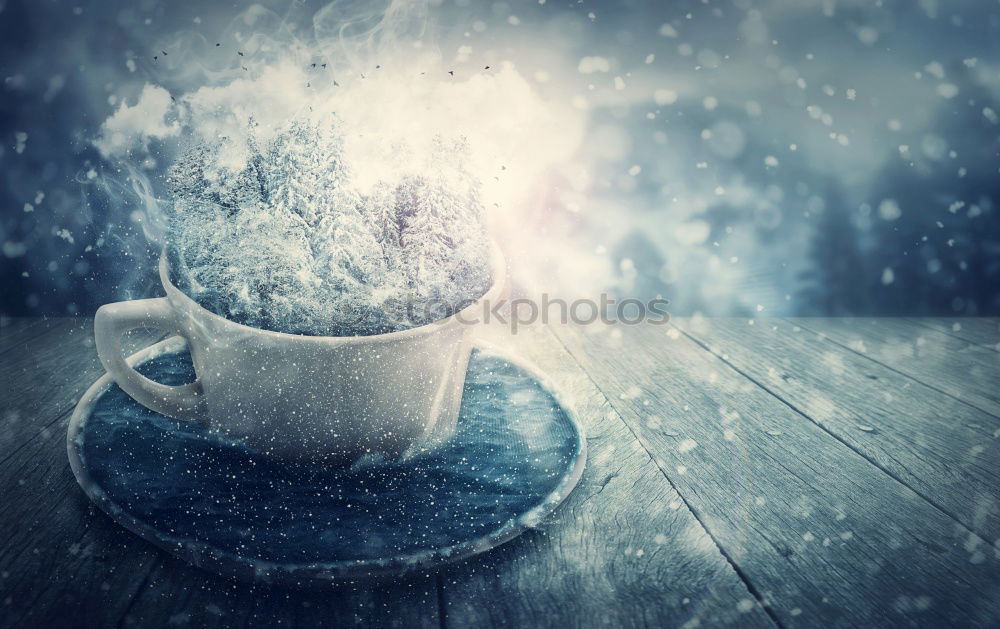 Similar – Young woman holding warm cup of tea