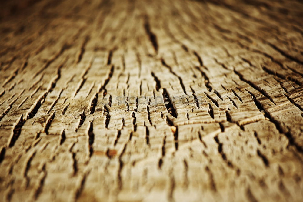 Similar – Image, Stock Photo Drop On Wood Close-up