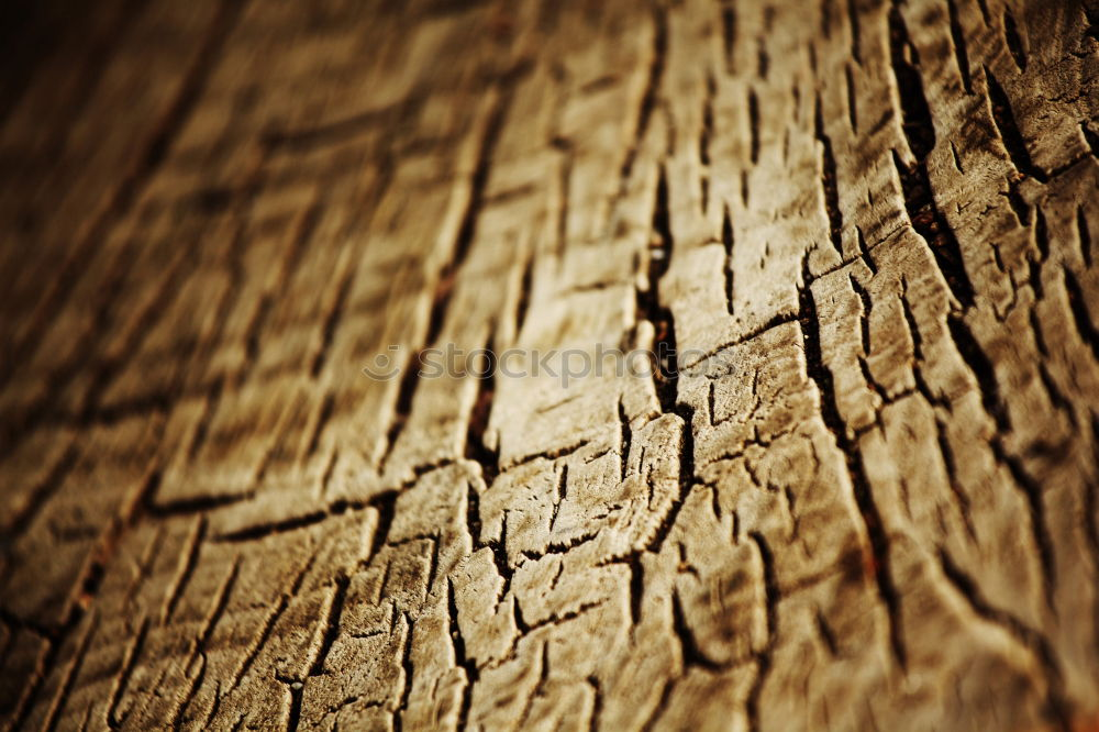 Image, Stock Photo Drop On Wood Close-up