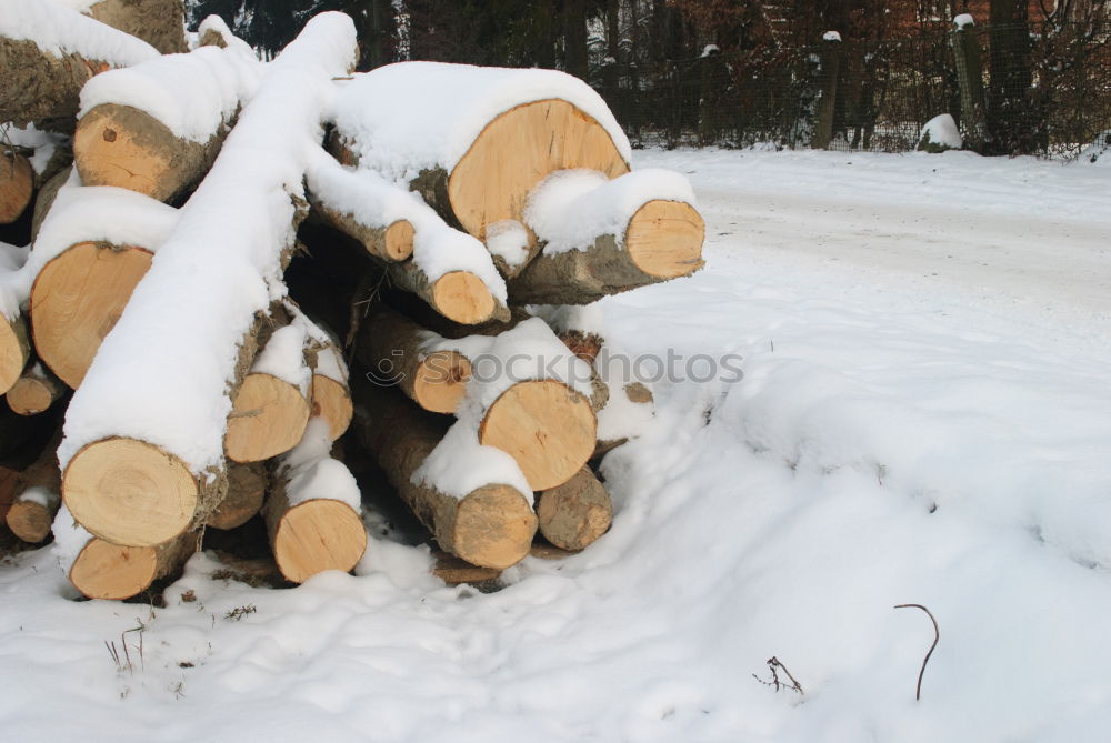 Similar – Wärme für den Winter