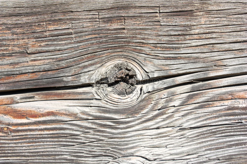 Similar – wooden eye Agriculture