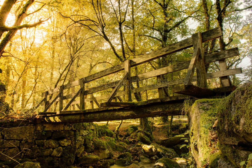 Similar – Stairway to Green Hell