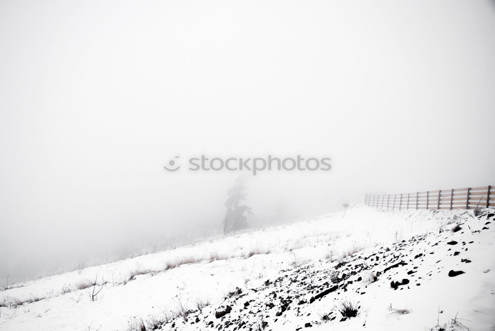 Similar – Foto Bild Warschauer Schnee Winter