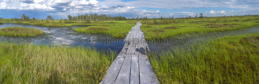 Similar – Foto Bild Der Weg ist das Ziel Holz