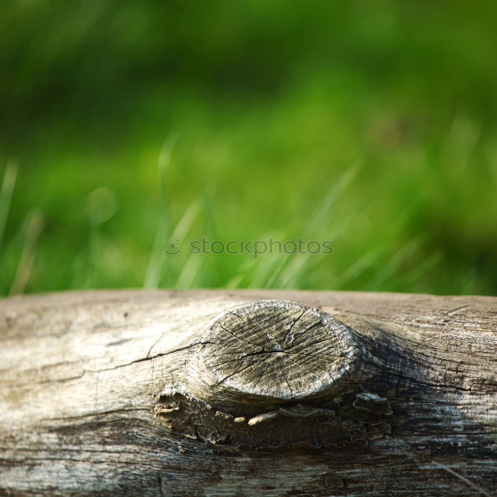 Similar – Foto Bild Einsam und verlassen Natur