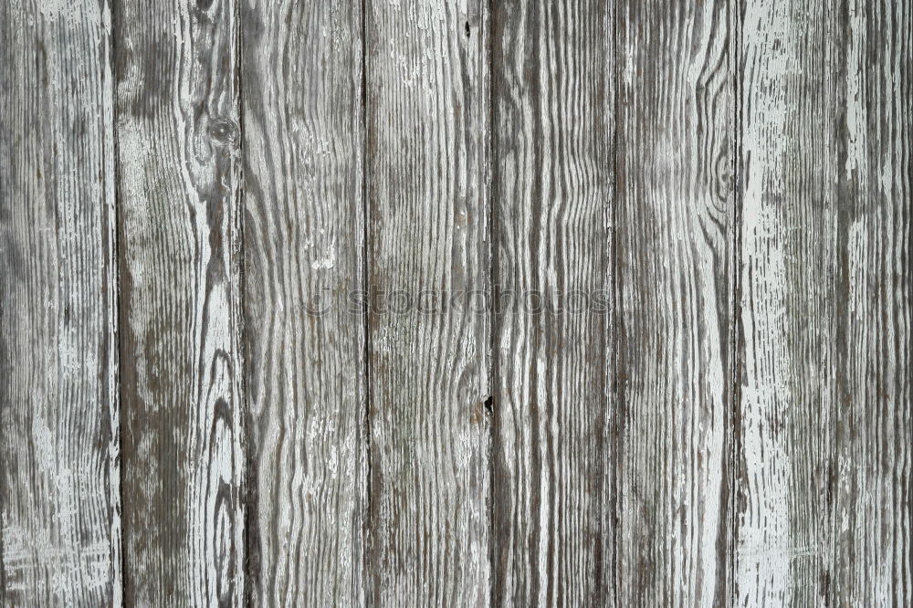 Similar – Wooden boards background grey