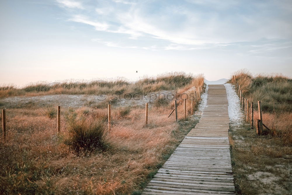 Similar – Image, Stock Photo Landscape in the dunes on the island of Amrum