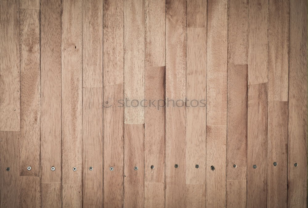 Similar – Image, Stock Photo type case Style Design