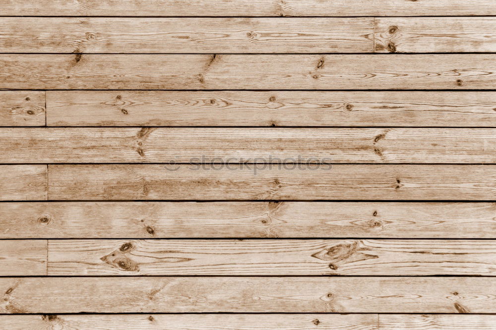Similar – Image, Stock Photo #AS# Head behind boards