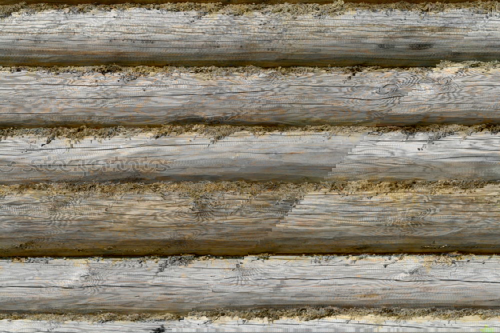 Similar – Foto Bild bodenschonen Renovieren