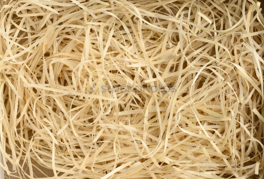 Similar – Straw Background Nature